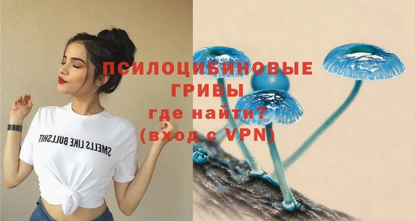 стафф Пересвет