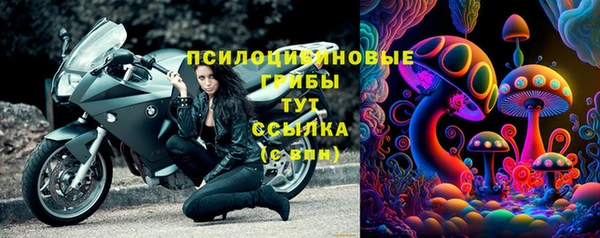 стафф Пересвет
