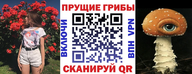 маркетплейс телеграм Анапа Галлюциногенные грибы MAGIC MUSHROOMS